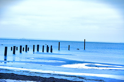 Havet